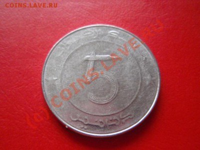 Алжир 5 динаров 1992  до 18.08 в 21.00М - P8153584.JPG