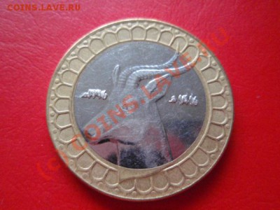Алжир 50 динаров 1996 биметал  до 18.08 в 21.00 М - P8153586.JPG