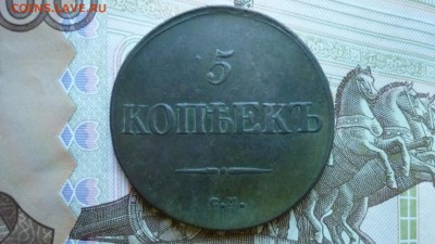 5 копеек 1831г.см  предпродажная оценка - image-8