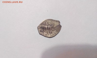 Помогите опознать чешуйку - IMG_20150901_202144