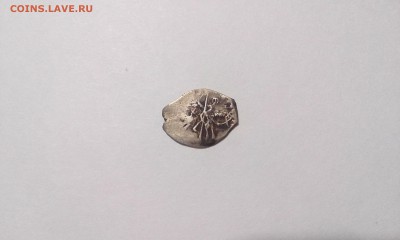 Помогите опознать чешуйку - IMG_20150901_202200