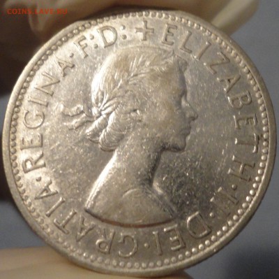 1 флорин 1954 года, серебро, Австралия, до 21.09.15 г. - 1954-2.JPG