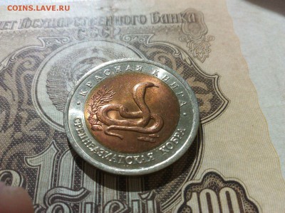 Среднеазиатская кобра отличная есть БЛИЦ  22.00 18.09.15 - IMG-20150917-WA0013