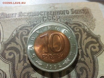 Краснозобая Казарка отличная есть БЛИЦ 22.00 18.09.15 - IMG-20150917-WA0022