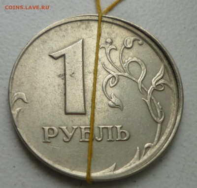 1р 2006р грибок малый поворот - P1130784.JPG