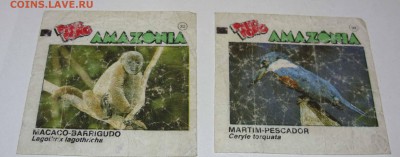 Куплю вкладыши турбо - Amazonia