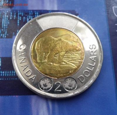 Канада 2 доллара 2012 Белый медведь до 24.09.2015 - 20150918_095537