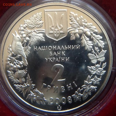 Ковпак, Гриф черный. Украина 2 гривны до 22.09.15 22:00 - image