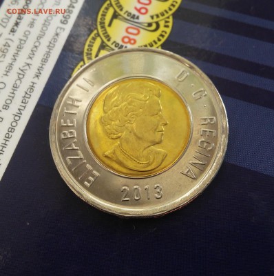 Канада 2 доллара 2013 Белый медведь до 25.09.2015 - 20150919_131741