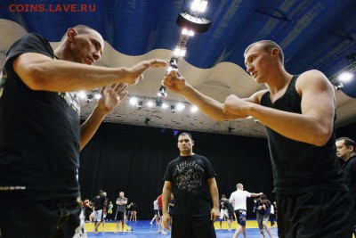 M-1 UFC Bellator - кто за кого болеет? - nl_DchP7CNE