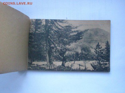 Наборы открыток   Суворин А.С. 1917-1918 - P9200007.JPG