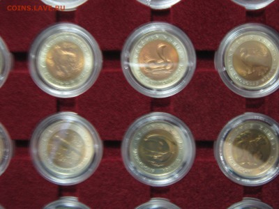 Красная Книга UNC 1991-1994 полный набор до 25.09 22:00 мск - IMG_0912.JPG