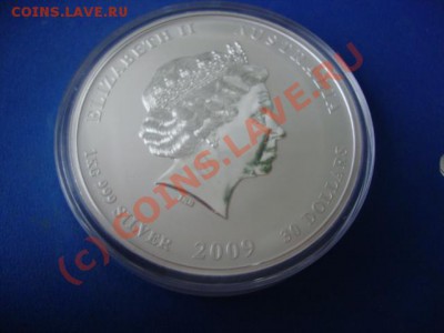 Подкинули тут три серебренные монетки каждая по одному кило. - DSC04148.JPG