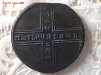 Крестовики - 20150709_211639