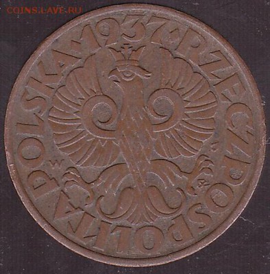 5 грошей 1937 Польша. до 22.09 в 22.00 - IMG_0012