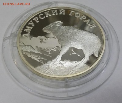 1 рубль 2002 г амурский горал серебро - 20150920_162845