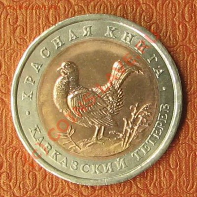 Красная книга, 50 рублей, 5шт. 1993г. - IMG_9719