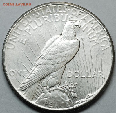 США_серебряный Peace Dollar 1925; до 23.09_22.40мск - 10234