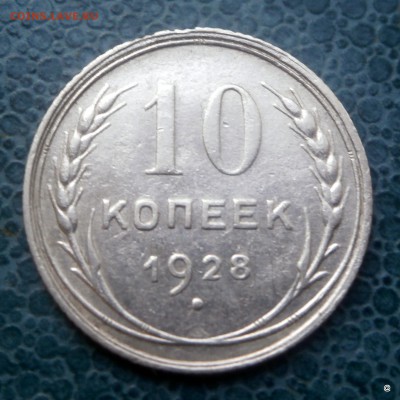 прилистники длинные - 29-P9230830.JPG