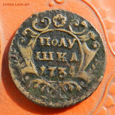 полушка 1734 - волосат и глазаст орел - до 25.09.15 23-00 - DSCN0068