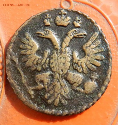 полушка 1734 - волосат и глазаст орел - до 25.09.15 23-00 - DSCN0069