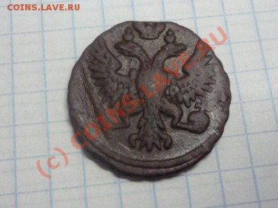 ДЕНГА 1750 - P1030658.JPG