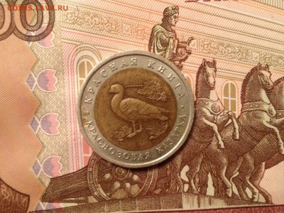 КК 10р. 1992г. Краснозобая Казарка до 28.09.2015 в 22.22 - image