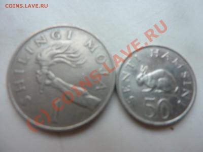 Танзания 1 шиллинг 1980г.и 50 цент 1983г. до 25.08. в 22-00 - P1020998