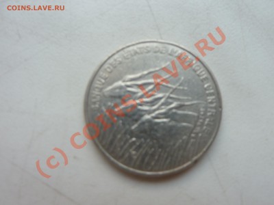 Центральная Африка 100 франков 1998 г. до 24.08.10 в 22-00 - P1030006