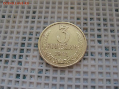 ДЛЯ ИЛЬИ-ТРЕЩИНЫ НА СОВЕТАХ - IMG_3887.JPG