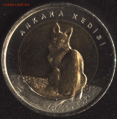 Турция лира 2015 КК Кошка до 22:00мск 02.10.15 - Кошка 2
