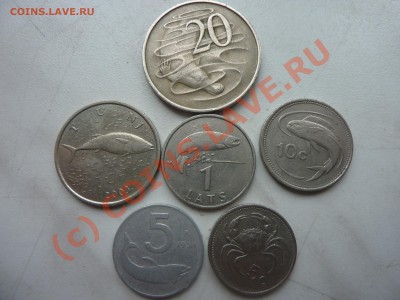 Морские обитатели на монетах-6 шт, до 25.08 в 22-00 - P1030056_picnik