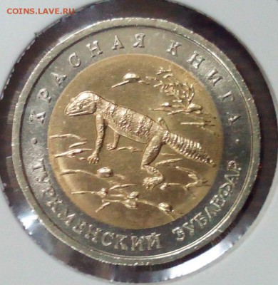 50р. 1993г Туркменский эублефар до 27.09. в 22:20 - IMG_20150926_135745