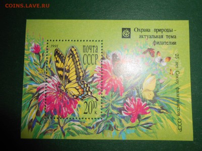 СССР, Бабочки, блок, чистый, 1991 год - DSCN0847.JPG