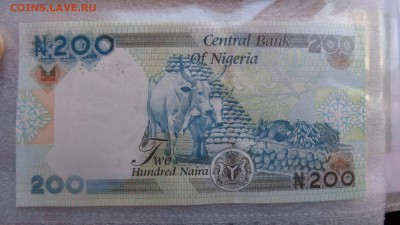 Нигерия 200-10 найра  пресс  до 1.10 в 21-35 мск - ссс 25.09.15 г8 аааа 079.JPG