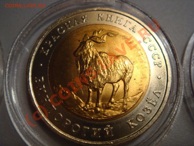 Монеты КРАСНАЯ КНИГА 1991,1992 г. до 26.08.2010 до 22:00 Мск - DSC03228.JPG