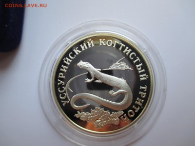 1 РУБЛЬ 2006 УСУРИЙСКИЙ ТРИТОН  ДО 3 10 2015 22 00 МСК - IMG_0100.JPG