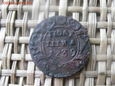 Полушка 1739г. Нечастая. До 28.09.2015г. - пол 001