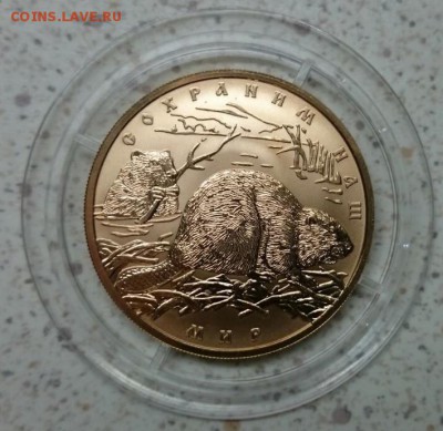 100 рублей Речной бобр 2008год UNC - бобр1