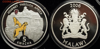 5 квача 2006г. Малавия ---01-10-15 в 22-00-- - Серебро_2