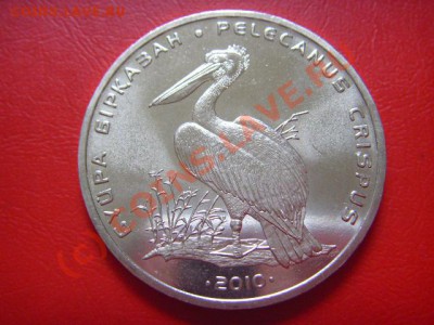 Казахстан 50 тенге 2010 . Пеликан .  до 25.08 в 21.00 М - LPIC7572.JPG