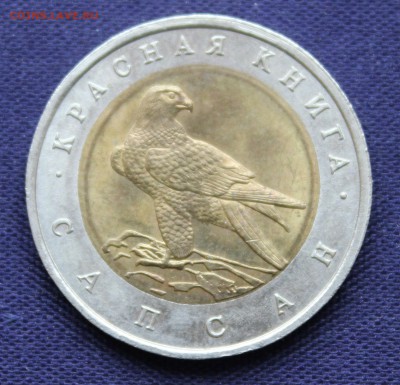 С 200 руб. КРАСНАЯ КНИГА 50 руб.1994г. САПСАН до 5.10.15г. - IMG_7955.JPG