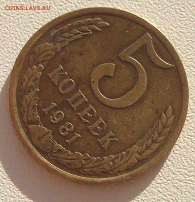 5 копеек 1981 - 5к-6