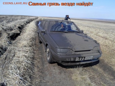 ФОТО - просто фото. Те что получились удачными. - SAM_1110.JPG