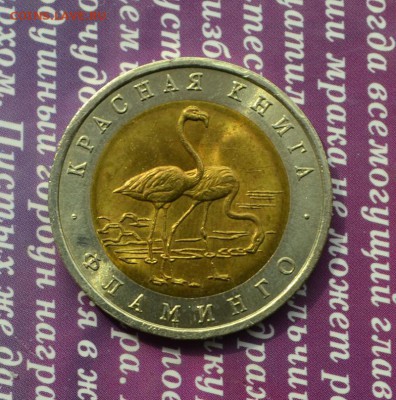 Красная книга 1994 год:Джейран,Зубр,Фламинго до 5.10 в 22:45 - фламинго а