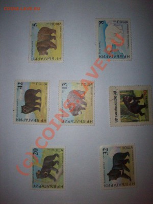 обмен - 100_6981.JPG