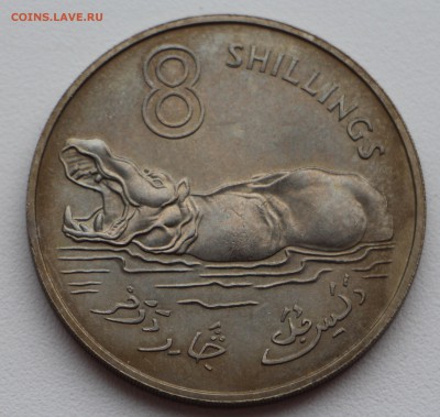 Гамбия 1970 8 шиллингов - IMG_5202.JPG