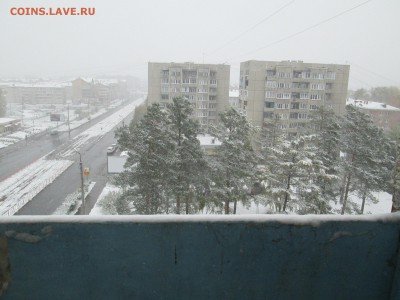 делает - прямо сейчас !!! - IMG_2715.JPG