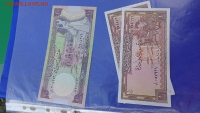 СИРИЯ 1 и 10 фунтов  1991  г до 5.10  в 21-00 мск - ууу 30.09.2015 г кккк 100.JPG