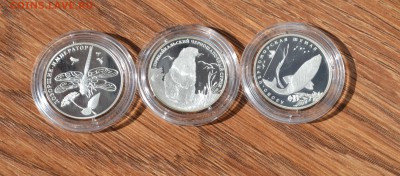 Красная книга 2008 год комплект -03.10.2015 в 22-00 - DSC_2438.JPG